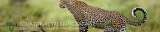  Equatorial Trekking Safariz Uchumi House, 10th Floor,  Suite 6 off Aga Khan Walk, 
