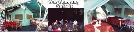  Profile Photos of TWO STAR SAFARIS Mbagathi Road - Photo 1 of 8