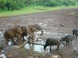  TWO STAR SAFARIS Mbagathi Road 