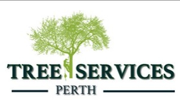  Profile Photos of Tree Service Perth 15 Aberdeen Street - Photo 1 of 1