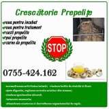 Crescatorie Prepelite Dorohoi jud. Botosani, Dorohoi