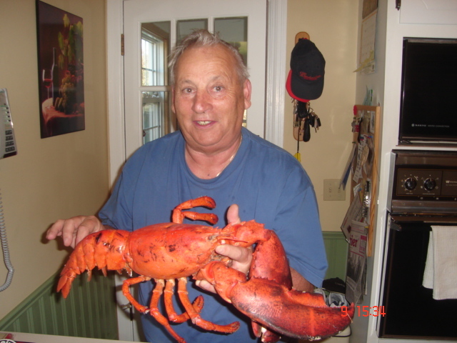 A feast fit for a king. You haven't had Lobster until you've sampled one of these Bay of Fundy  monsters.                            Profile Photos of Harbour Tide Inn ~ Bed & Breakfast 725 Main Street - Photo 58 of 83