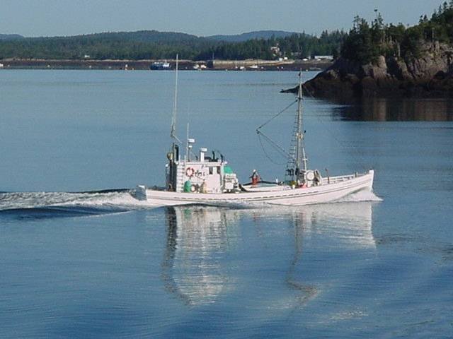 One of the historic Connor's Sardine carriers heading into port. Profile Photos of Harbour Tide Inn ~ Bed & Breakfast 725 Main Street - Photo 64 of 83 One of the historic Connor's Sardine carriers heading into port. Profile Photos of Harbour Tide Inn ~ Bed & Breakfast 725 Main Street - Photo 64 of 83