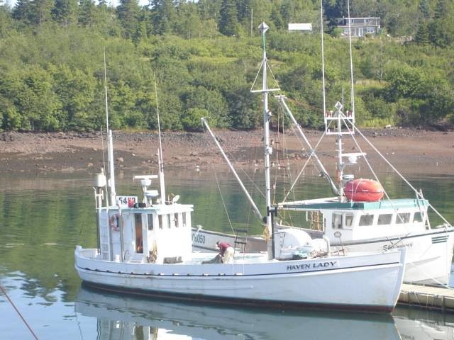 Part of our fishing fleet in Blacks Harbour, Jus 2 minutes away. Profile Photos of Harbour Tide Inn ~ Bed & Breakfast 725 Main Street - Photo 35 of 83 Part of our fishing fleet in Blacks Harbour, Jus 2 minutes away. Profile Photos of Harbour Tide Inn ~ Bed & Breakfast 725 Main Street - Photo 35 of 83
