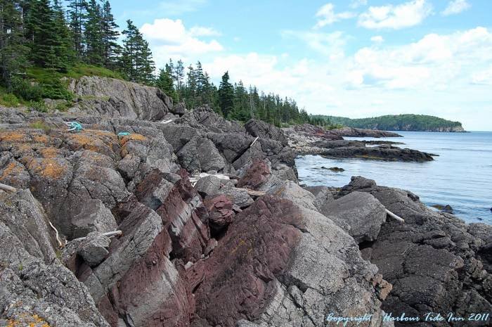The rocky shore at Pea Point. You can whale watch from here. Profile Photos of Harbour Tide Inn ~ Bed & Breakfast 725 Main Street - Photo 67 of 83 The rocky shore at Pea Point. You can whale watch from here. Profile Photos of Harbour Tide Inn ~ Bed & Breakfast 725 Main Street - Photo 67 of 83