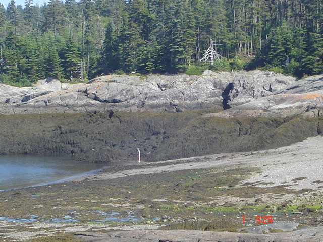  Our 30 foot tides, twice daily.                               Blacks Harbour and Our Coastal Views of Harbour Tide Inn ~ Bed & Breakfast 725 Main Street - Photo 7 of 48