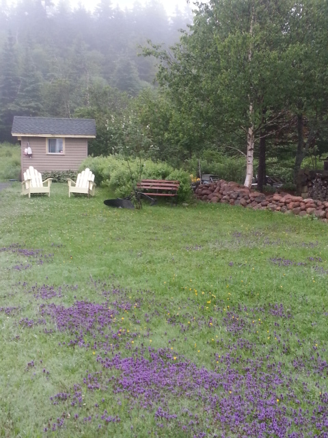  Blacks Harbour and Our Coastal Views of Harbour Tide Inn ~ Bed & Breakfast 725 Main Street - Photo 23 of 48