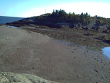 The beach at low tide Harbour Tide Inn ~ Bed & Breakfast 725 Main Street 
