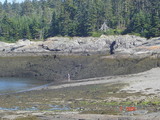 Our 30 foot tides, twice daily.                               Harbour Tide Inn ~ Bed & Breakfast 725 Main Street 