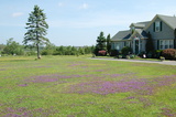  Harbour Tide Inn ~ Bed & Breakfast 725 Main Street 