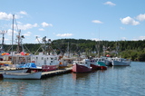 The fishing fleet is in. Harbour Tide Inn ~ Bed & Breakfast 725 Main Street 