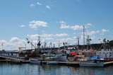  Harbour Tide Inn ~ Bed & Breakfast 725 Main Street 