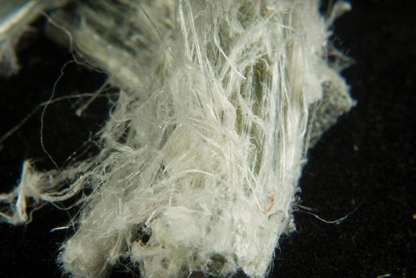  Profile Photos of Calgary Asbestos Removal Inc. 1, 404, 4440 75 Ave SE - Photo 2 of 6