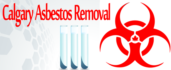  Profile Photos of Calgary Asbestos Removal Inc. 1, 404, 4440 75 Ave SE - Photo 5 of 6