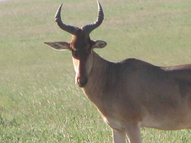  Profile Photos of Nature Bound Africa Themi Hill - Photo 24 of 40
