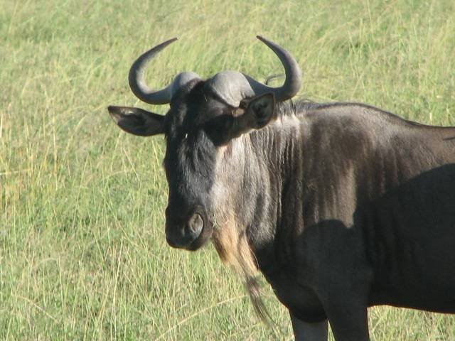  Profile Photos of Nature Bound Africa Themi Hill - Photo 25 of 40