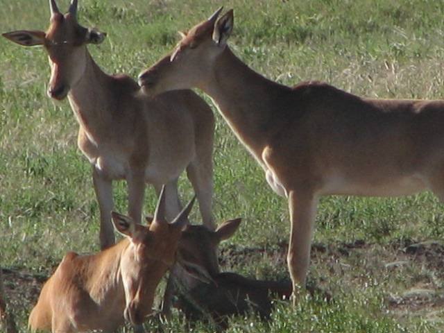  Profile Photos of Nature Bound Africa Themi Hill - Photo 27 of 40