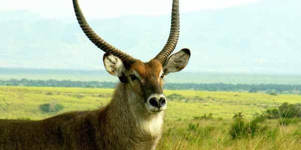  Profile Photos of Nature Bound Africa Themi Hill - Photo 28 of 40