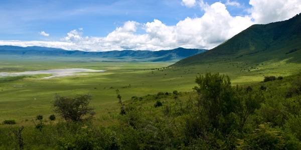  Profile Photos of Nature Bound Africa Themi Hill - Photo 29 of 40