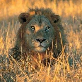  Profile Photos of Nature Bound Africa Themi Hill - Photo 21 of 40