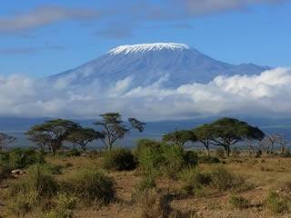  Profile Photos of Nature Bound Africa Themi Hill - Photo 32 of 40