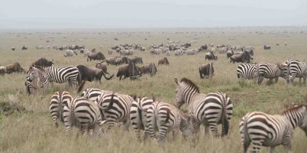  Profile Photos of Nature Bound Africa Themi Hill - Photo 34 of 40