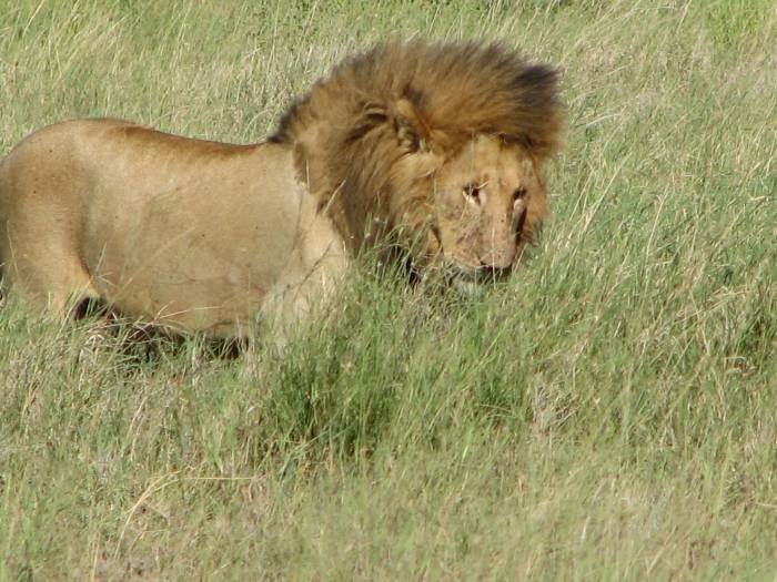 Profile Photos of Nature Bound Africa Themi Hill - Photo 6 of 40