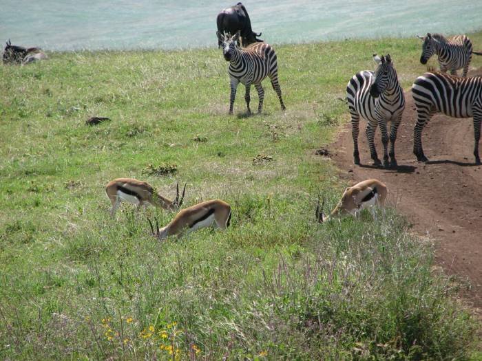  Profile Photos of Nature Bound Africa Themi Hill - Photo 10 of 40