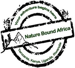  Profile Photos of Nature Bound Africa Themi Hill - Photo 19 of 40