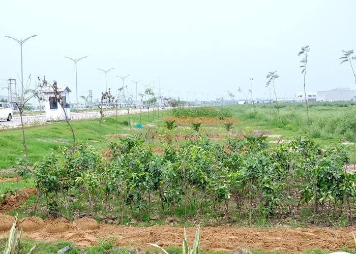  Green Initiative at MET of Model Economic Township Limited 77-B, 3rd Floor, IFFCO Road, Sector 18, - Photo 1 of 9