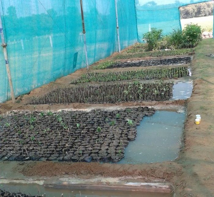  Green Initiative at MET of Model Economic Township Limited 77-B, 3rd Floor, IFFCO Road, Sector 18, - Photo 2 of 9