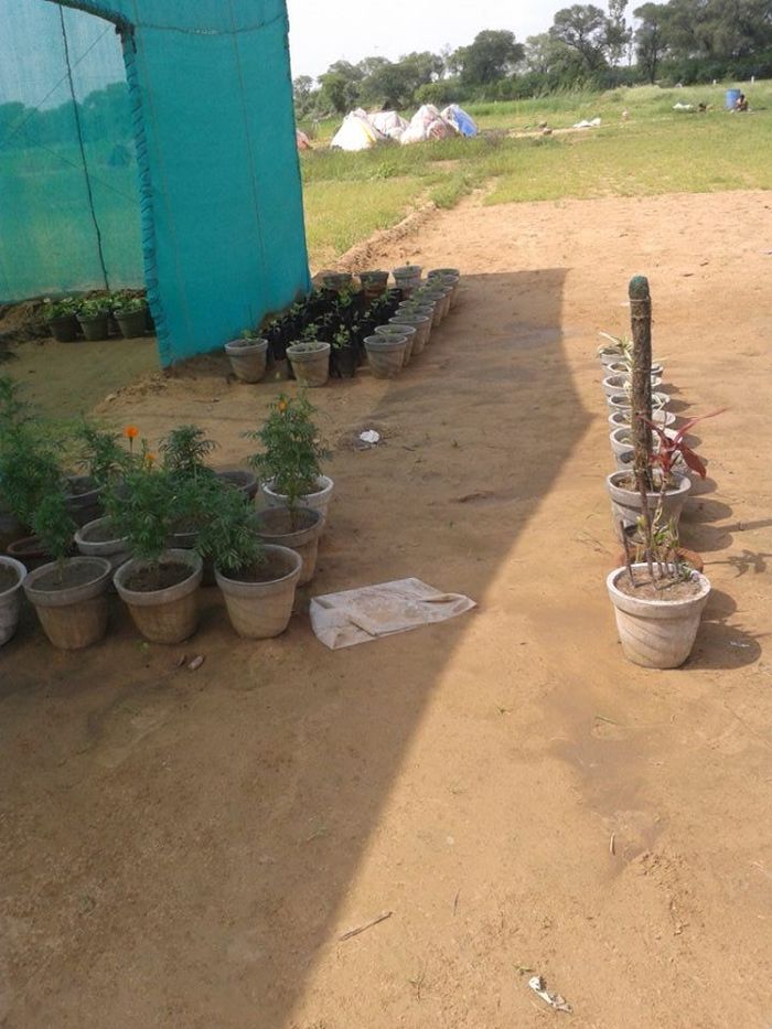  Green Initiative at MET of Model Economic Township Limited 77-B, 3rd Floor, IFFCO Road, Sector 18, - Photo 3 of 9