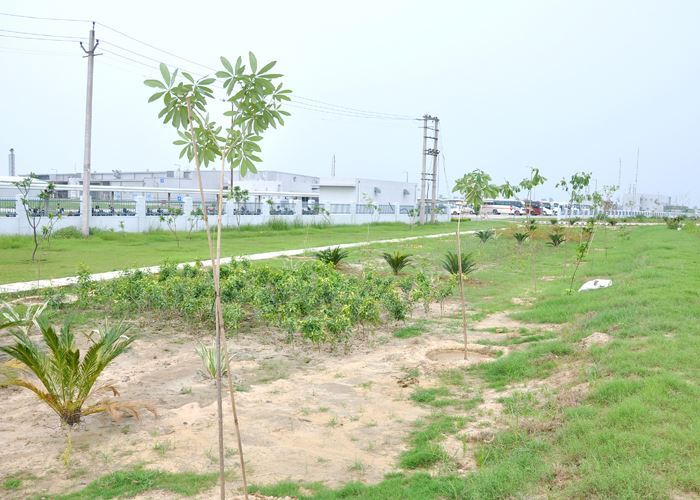  Green Initiative at MET of Model Economic Township Limited 77-B, 3rd Floor, IFFCO Road, Sector 18, - Photo 5 of 9