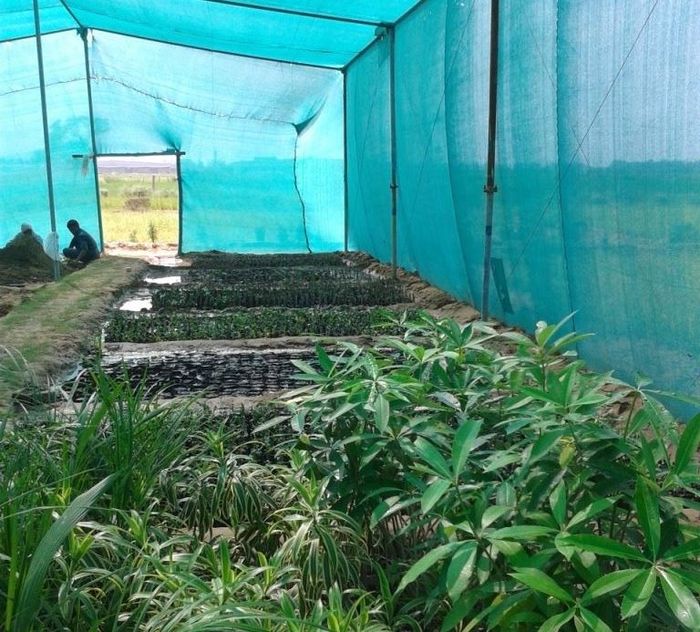  Green Initiative at MET of Model Economic Township Limited 77-B, 3rd Floor, IFFCO Road, Sector 18, - Photo 6 of 9