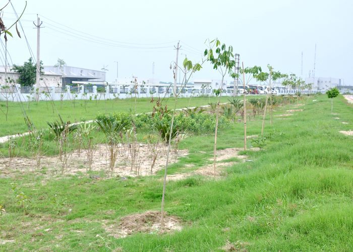  Green Initiative at MET of Model Economic Township Limited 77-B, 3rd Floor, IFFCO Road, Sector 18, - Photo 7 of 9