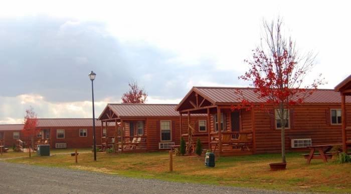  Profile Photos of Yogi Bear Jellystone Park Delaware Beaches 8295 Brick Granary Rd - Photo 10 of 14