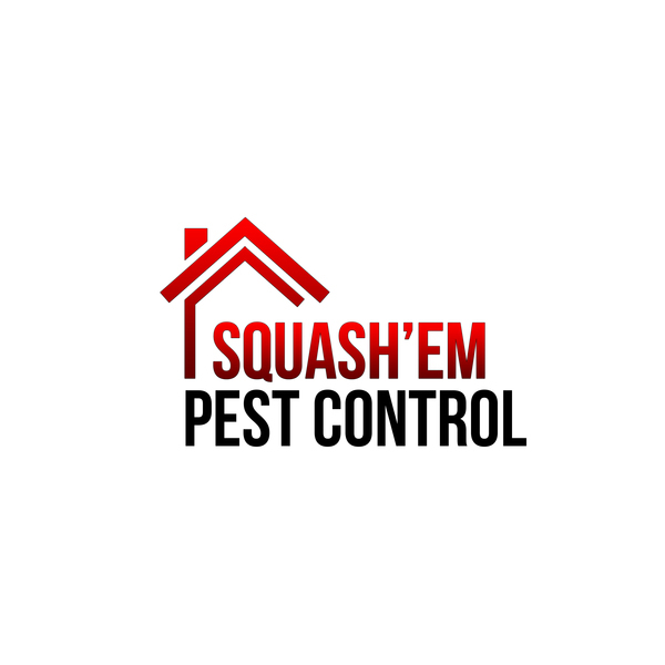  Profile Photos of Squash'em Pest Control Gold Coast 41 Fairview Court - Photo 1 of 1