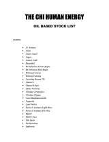 Menus & Prices, The CHI Human Energy - Fine French Fragrance Co., Cape Town