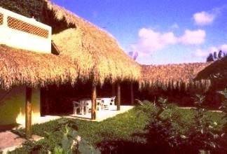 View of communal area under large roof. Profile Photos of Amigos Hostel Cozumel Calle 7 Sur # 571 x Ave 25 & 30 col. centro - Photo 2 of 7