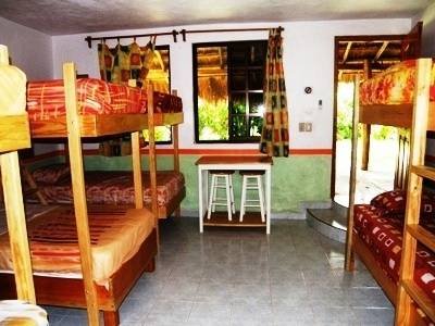 Nopal Dorm at Amigos Hostel Cozumel  Profile Photos of Amigos Hostel Cozumel Calle 7 Sur # 571 x Ave 25 & 30 col. centro - Photo 4 of 7