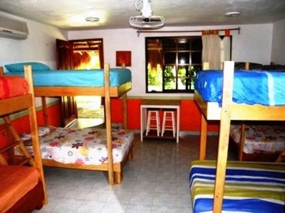 Orange dorm at Amigos Hostel Cozumel Profile Photos of Amigos Hostel Cozumel Calle 7 Sur # 571 x Ave 25 & 30 col. centro - Photo 3 of 7