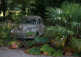 Mel Smith Photography, Pluckley