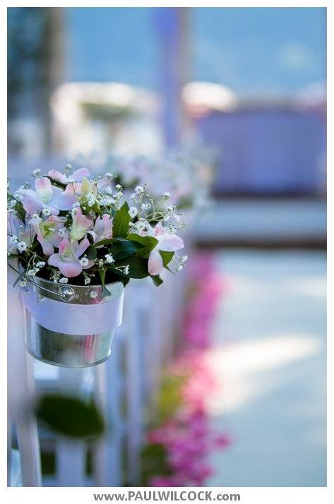  Profile Photos of K.I.S.S Weddings Pennant Hills - Photo 5 of 19