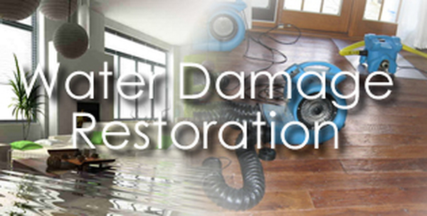  Profile Photos of Restoration 1 Toronto 20 Bermondsey Rd - Photo 4 of 4