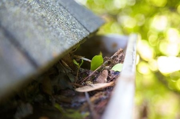  Profile Photos of Colorado Rain Gutter 17011 Lincoln Ave. #613 - Photo 1 of 2