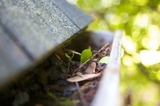 Colorado Rain Gutter, Parker