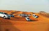 Best Desert Safari in Dubai, Deira