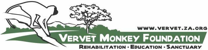  Profile Photos of Vervet Monkey Foundation Plot 35 California Tarentaalrand - Photo 1 of 5