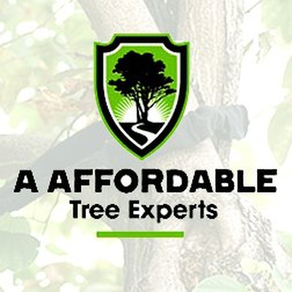  Profile Photos of A Affordable Tree service 1947 Tomlinson Ave - Photo 1 of 6