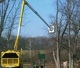  Mt. Vernon Tree Trimming 135 W Kingsbridge Rd 